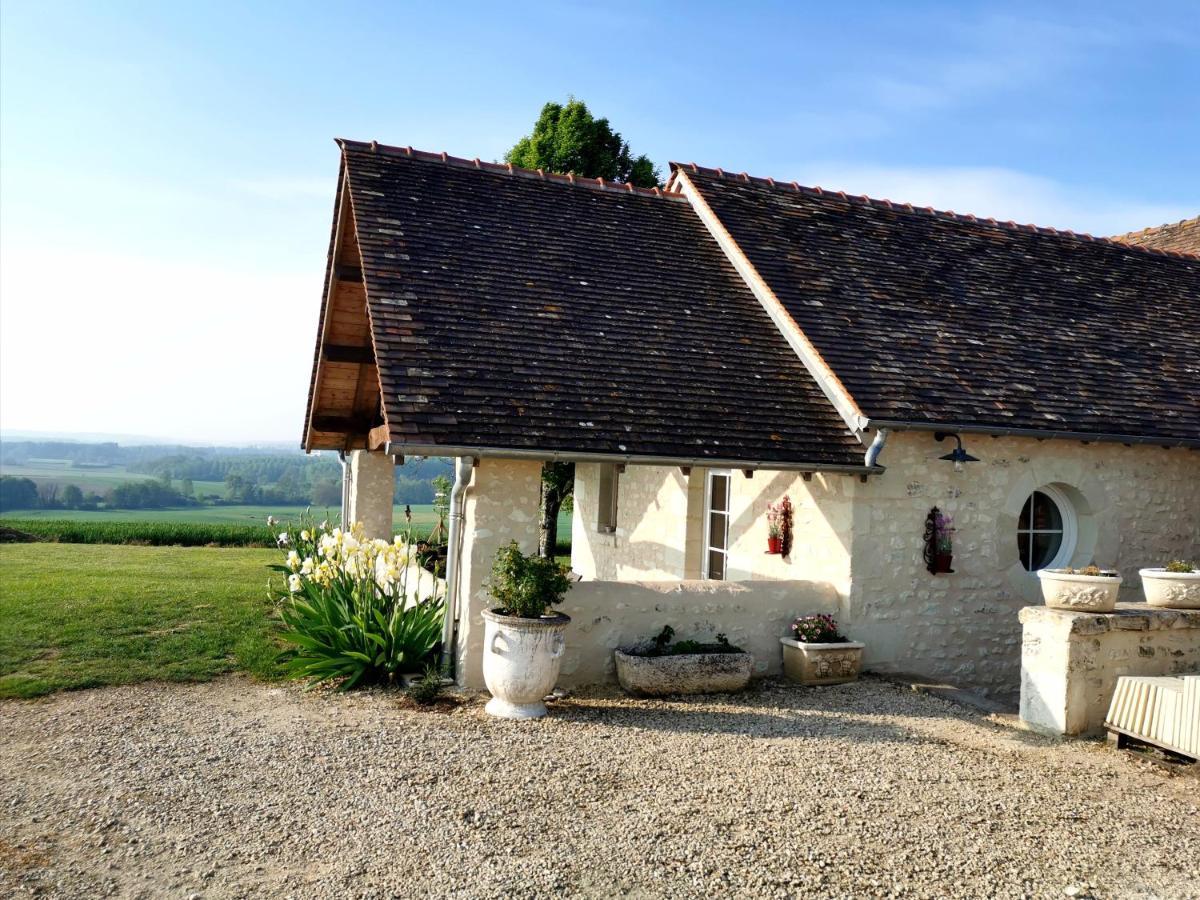 Gite De Charme Dans Un Cadre Calme Et Reposant Châtellerault Esterno foto