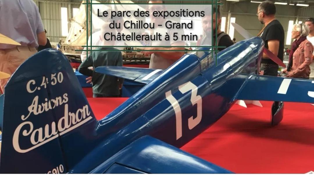Gite De Charme Dans Un Cadre Calme Et Reposant Châtellerault Esterno foto