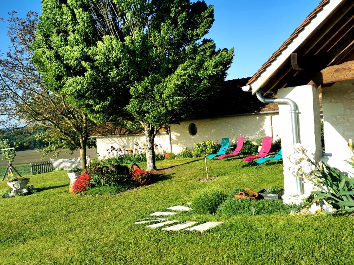 Gite De Charme Dans Un Cadre Calme Et Reposant Châtellerault Esterno foto